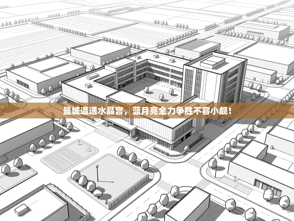 曼城遭遇水晶宫，蓝月亮全力争胜不容小觑！  第2张