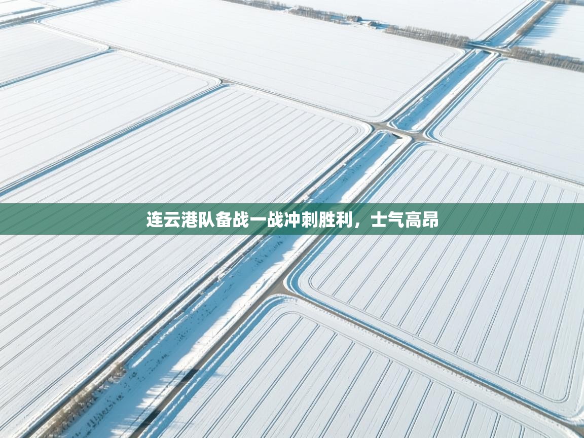 连云港队备战一战冲刺胜利，士气高昂  第1张