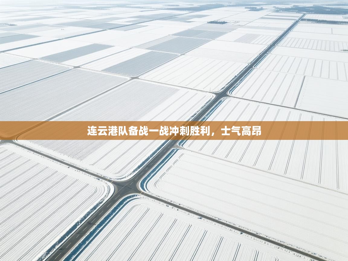 连云港队备战一战冲刺胜利，士气高昂  第2张