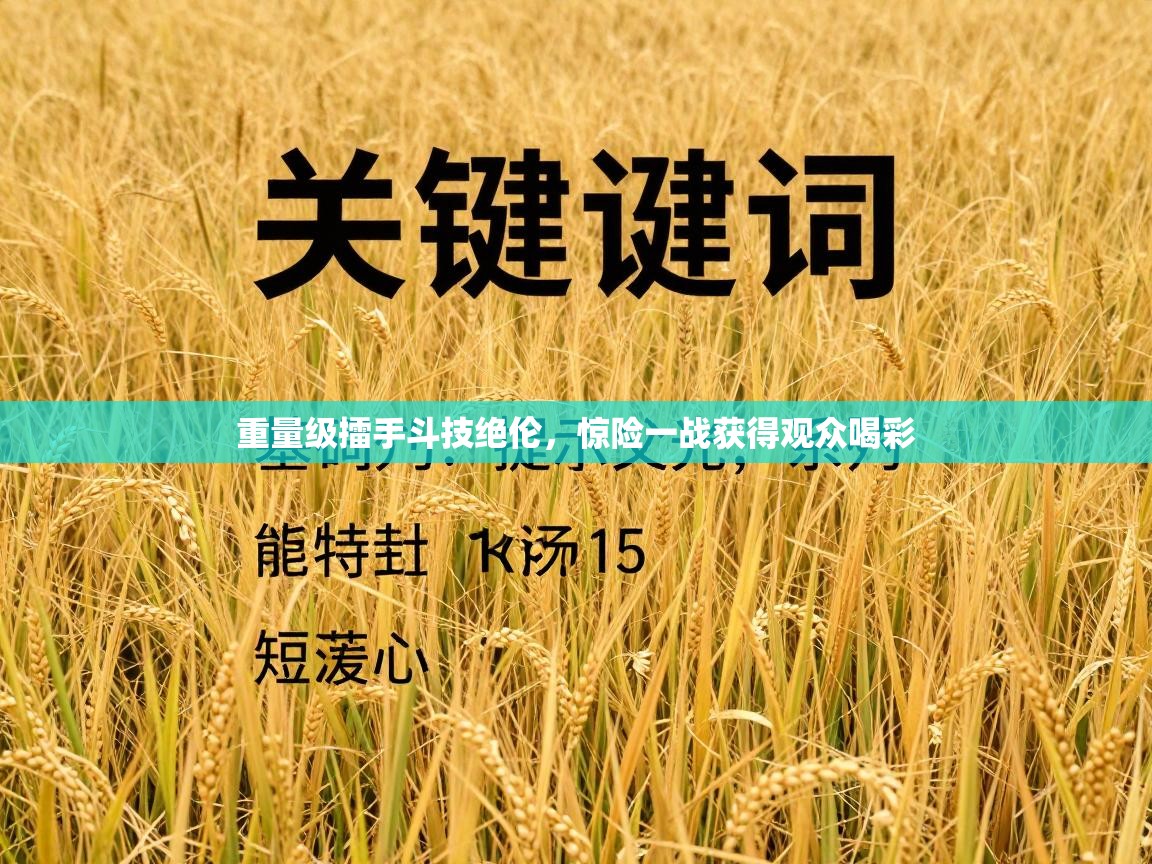 重量级擂手斗技绝伦，惊险一战获得观众喝彩