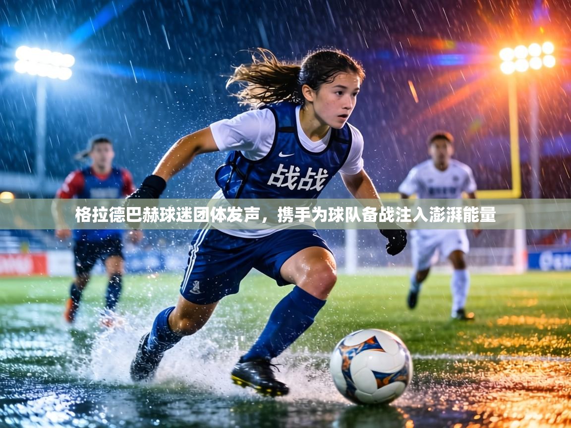 格拉德巴赫球迷团体发声,携手为球队备战注入澎湃能量 第2张